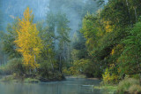 Out Along the Merced River