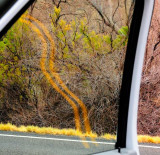 The Road Ahead May Not Be Straight - Near Moab, Utah