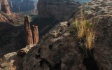 Spider Rock, Grass Tufts, Canyon de Chelly