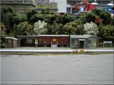 IMG_3626.JPG