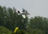 18 IMGP1610.JPG