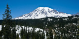 Mt Rainier