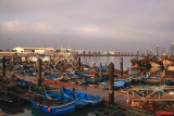 Fish harbor / Agadir / Morocco