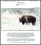 7-06 First Email Day