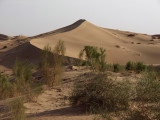 Karakum Desert, Turkmenistan