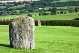 Newgrange Stones