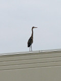 A visitor at the office building