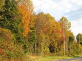 At the entrance to the Cool Spring Run Trail