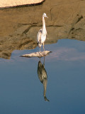 At full height