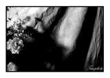 Thursday Challenge: <BR>Breaking the (Compositional) Rules