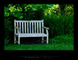 IMG3191 copy.jpg