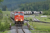 Coalspur, AB
