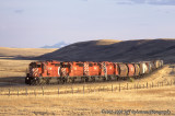 Near Sterling, AB
