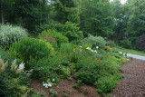 front garden in June