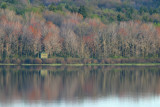 view from house (with telephoto lens) of duck blind across the lake in early Spring