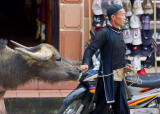 A Black Hmong man leads his water buffalo through Sapa town.