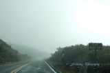 Hawaii2hcs0037.jpg