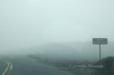 Hawaii2hcs0039.jpg