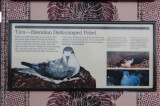 Hawaii2hcs0050.jpg