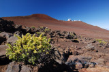 Hawaii3hcs0035.jpg