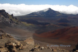 Hawaii3hcs0049.jpg