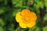 DPP_4101.jpg