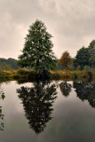 The Ponds in Opole Lubelskie