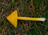 Toppvaxskivling (Hygrocybe conica)