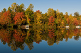 From our Dock across the Cove