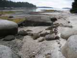 Low tide 2