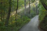 Morning light
