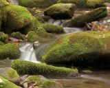 Tranquility