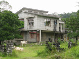 A strange setting- there were many abandoned mansions, signs of opulence from before the Khmer Rouge