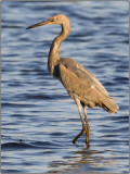 CRW_5255.jpg