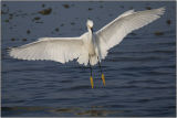 CRW_6638.jpg