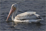 CRW_6561.jpg