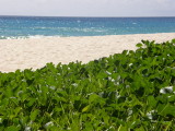 Blue, white and green at Anse Louis