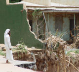 Surveying the Damage