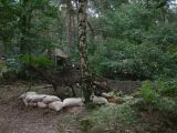 DSCF0600.JPG
