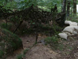 DSCF0601.jpg