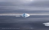 Icebergs, Antarctic Sound 3