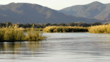 Zambezi River Scenic,  Chiawa