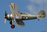 sh17.jpg
