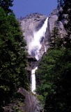 Yosemite National Park:  Upper and Lower Falls of Yosemite Creek
