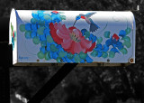 Hummingbird_mailbox selected color_edited-1.jpg