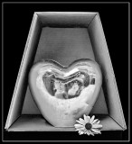 Sending you My Heart