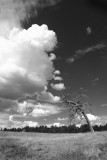 8th Place(Tie) - Colorado Morning  <br>by Michael Shealy
