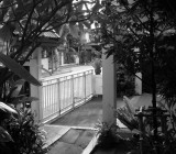 Parking Zone