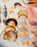 At the Seafood Market