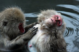 Bath Time